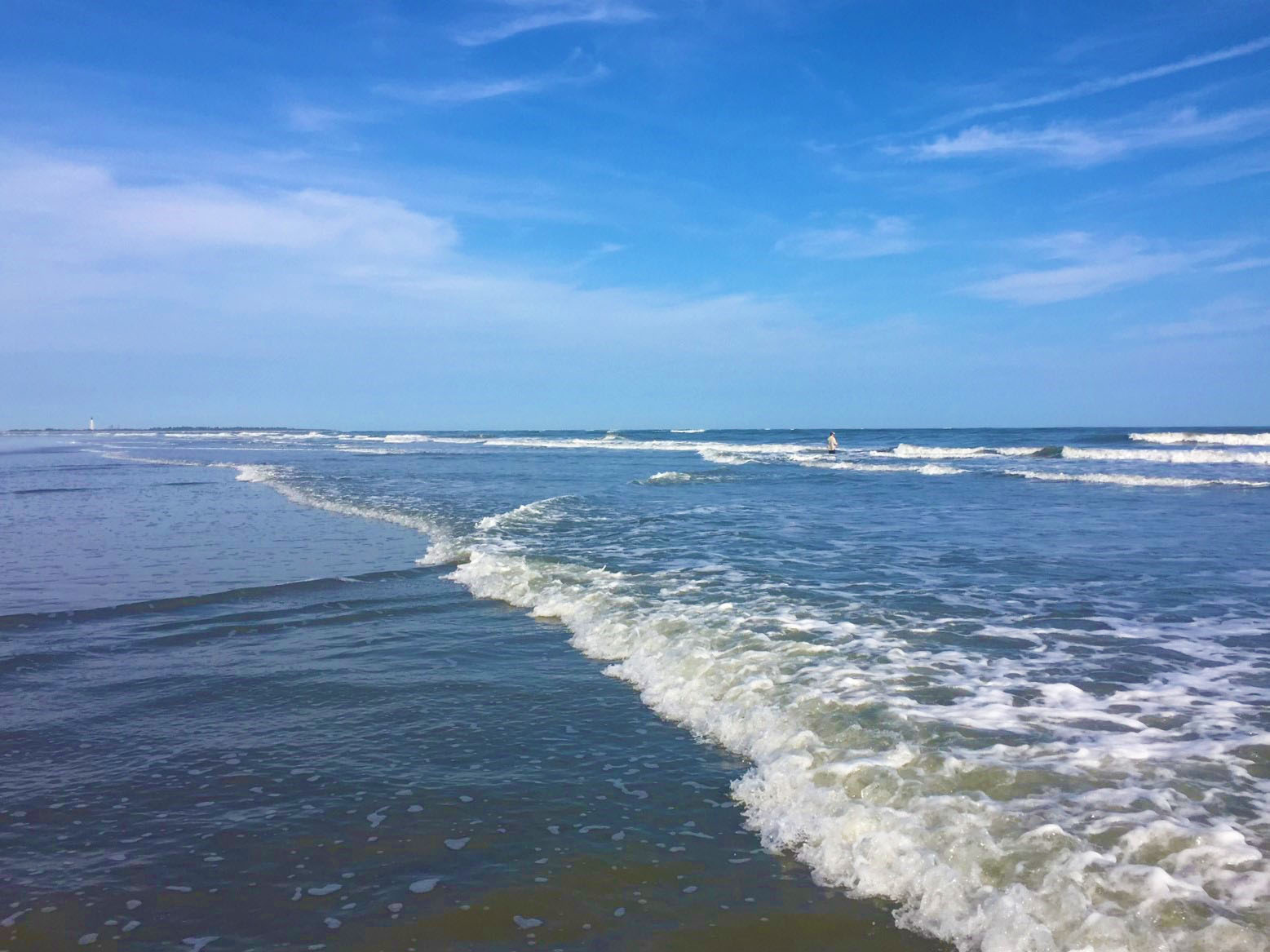 Explore the Shore